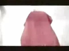 Videó pornó kutya, s ...