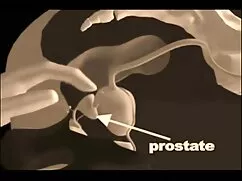 A férfiak vágynak ar ...